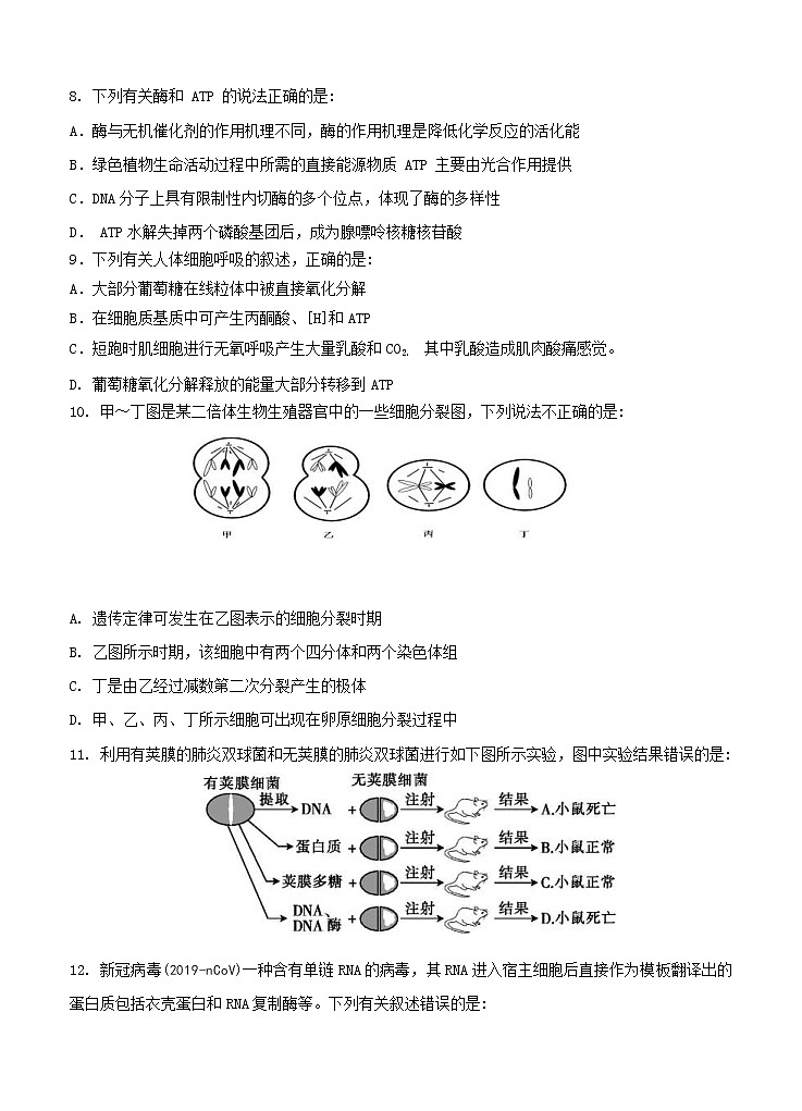 江苏省淮安市高中校协作体2021届高三上学期期中考试 生物（含答案）03