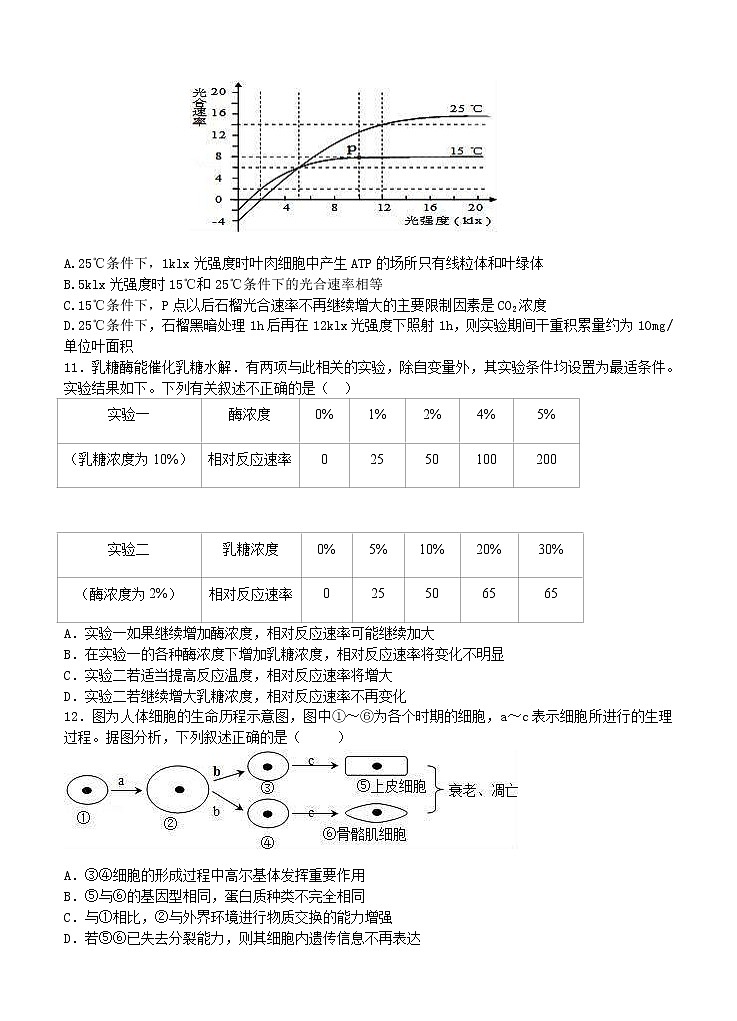 安徽省五校2021届高三上学期12月联考 生物 (含答案) 试卷03