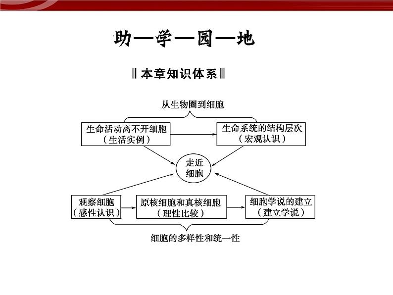 高效课堂同步课件：1章末整合《走近细胞》（必修1）02