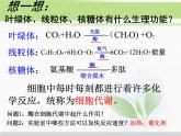 必修1 第5章 第1节降低化学反应活化能的酶 课件