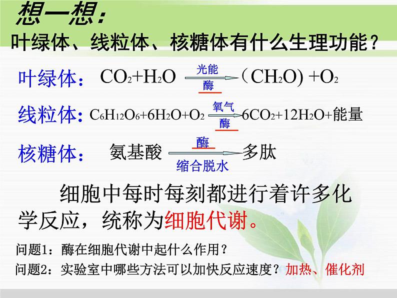 必修1 第5章 第1节降低化学反应活化能的酶 课件03