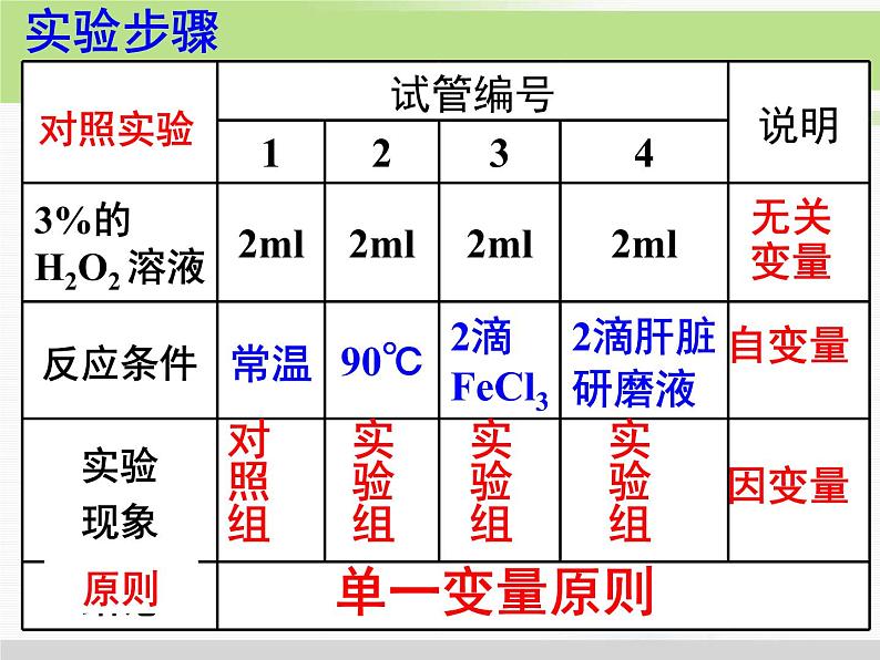 必修1 第5章 第1节降低化学反应活化能的酶 课件06