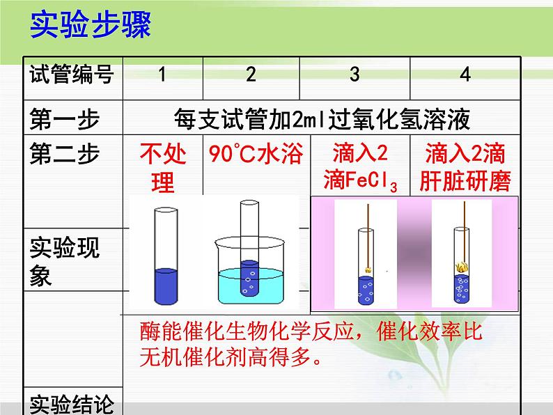 必修1 第5章 第1节降低化学反应活化能的酶 课件07