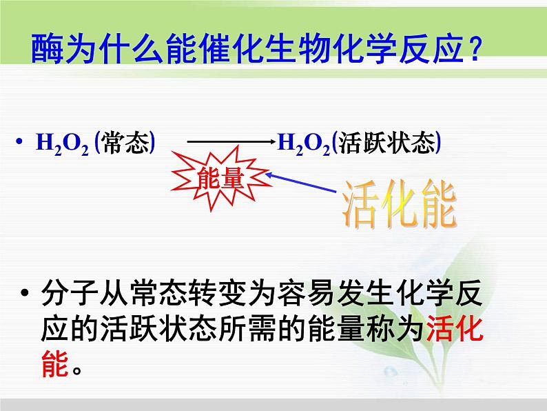 必修1 第5章 第1节降低化学反应活化能的酶 课件08