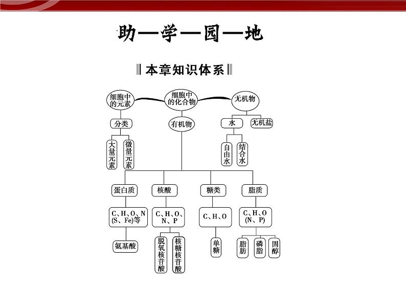 高效课堂同步课件：2章末整合《组成细胞的分子》（必修1）02