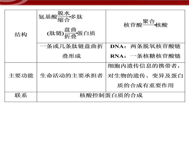 高效课堂同步课件：2章末整合《组成细胞的分子》（必修1）05