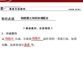 高效课堂同步课件：3-2-2细胞器──系统内的分工（必修1）