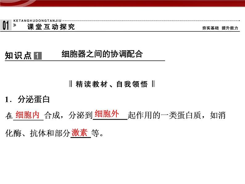 高效课堂同步课件：3-2-2细胞器──系统内的分工（必修1）02