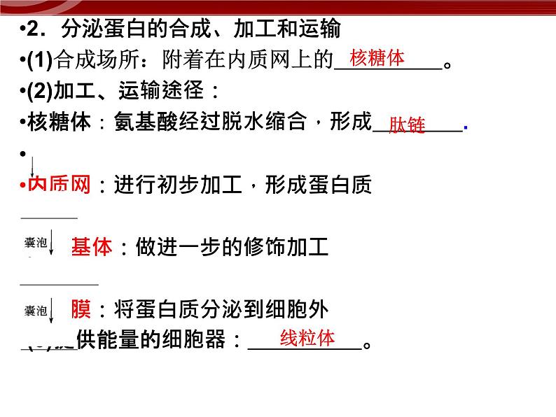 高效课堂同步课件：3-2-2细胞器──系统内的分工（必修1）03