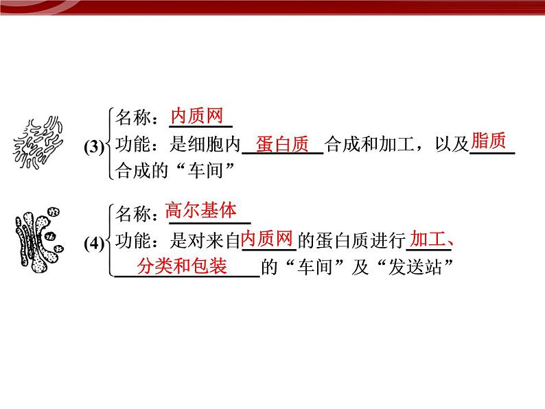 高效课堂同步课件：3-2-1细胞器──系统内的分工（必修1）06