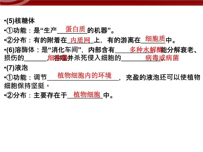 高效课堂同步课件：3-2-1细胞器──系统内的分工（必修1）07