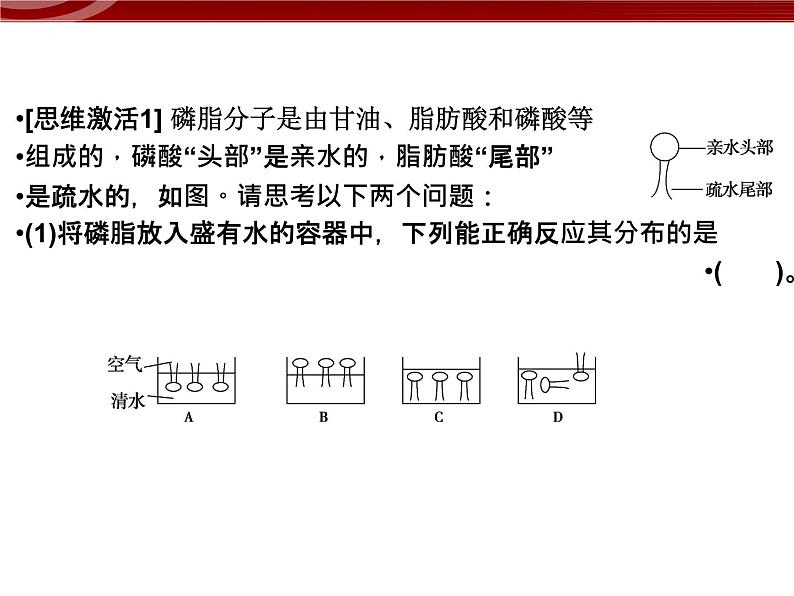 高效课堂同步课件：4-2生物膜的流动镶嵌模型（必修1）07