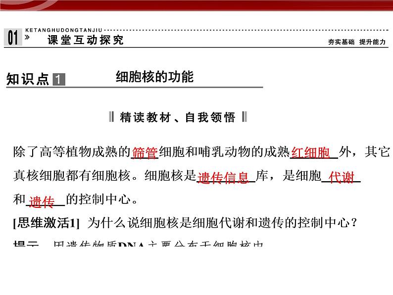 高效课堂同步课件：3-3细胞核──系统的控制中心（必修1）04