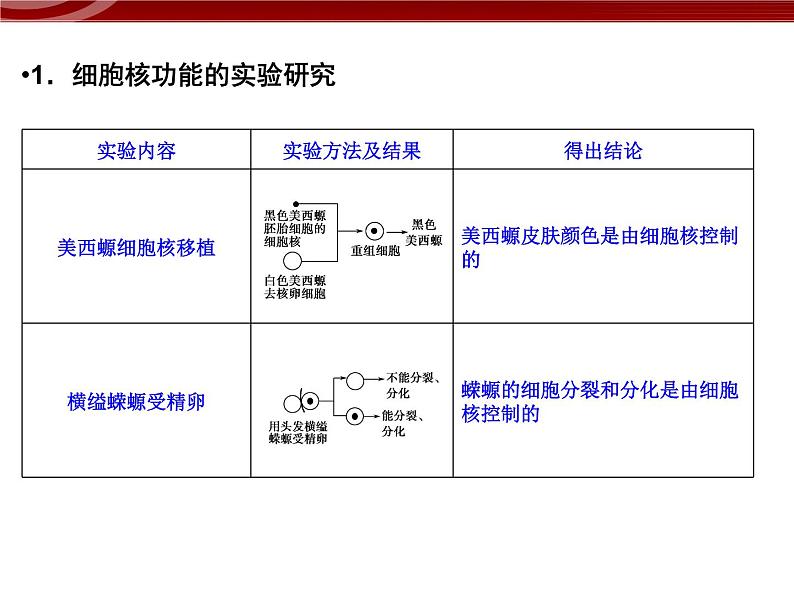 高效课堂同步课件：3-3细胞核──系统的控制中心（必修1）05