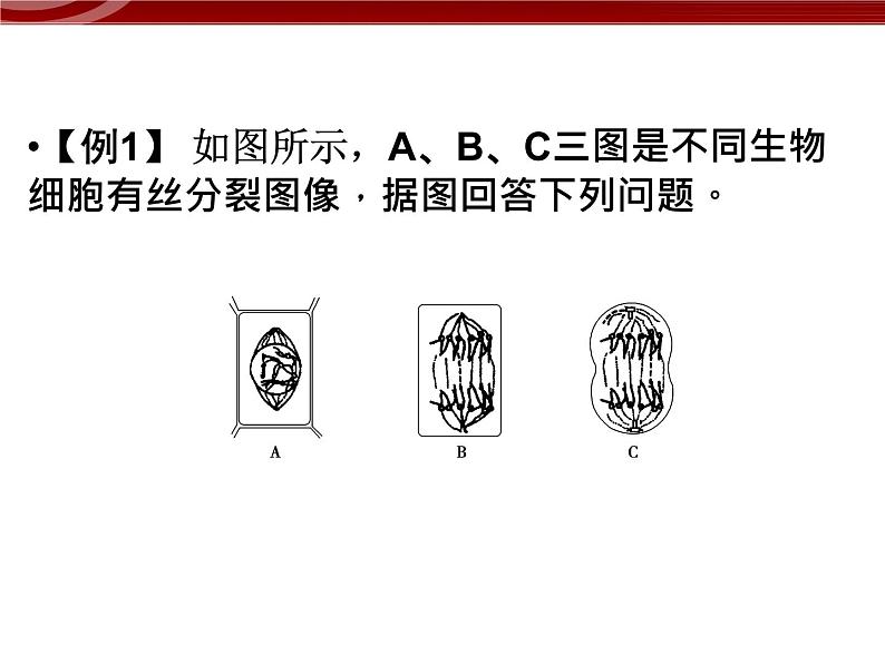 高效课堂同步课件：6章末整合《细胞的生命历程》（必修1）05