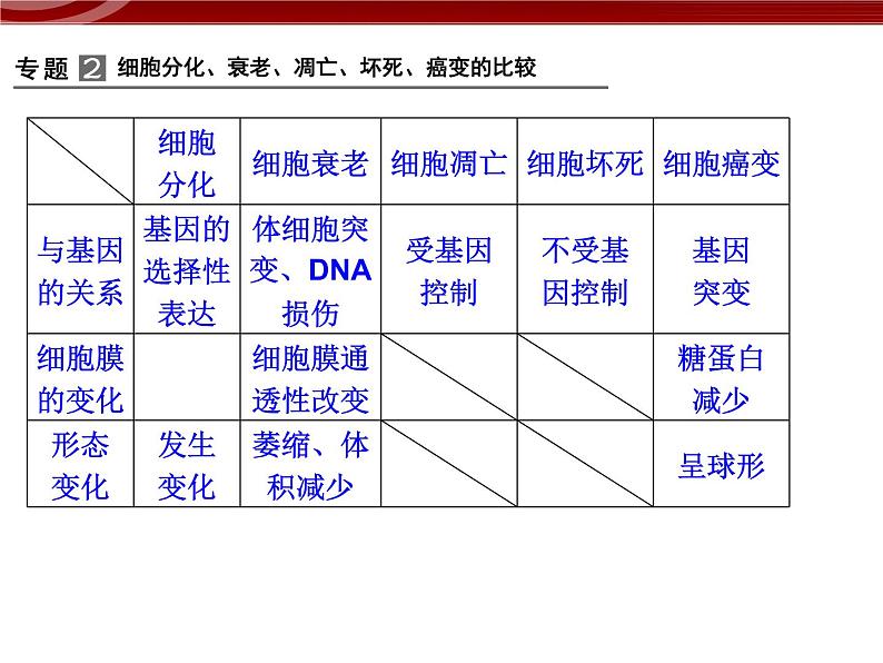 高效课堂同步课件：6章末整合《细胞的生命历程》（必修1）08