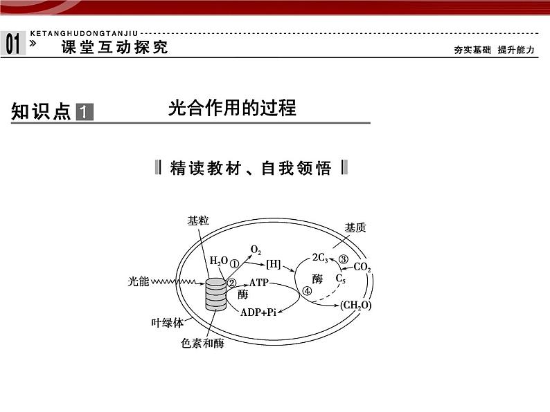 高效课堂同步课件：5-4-2能量之源──光与光合作用（必修1）第2页