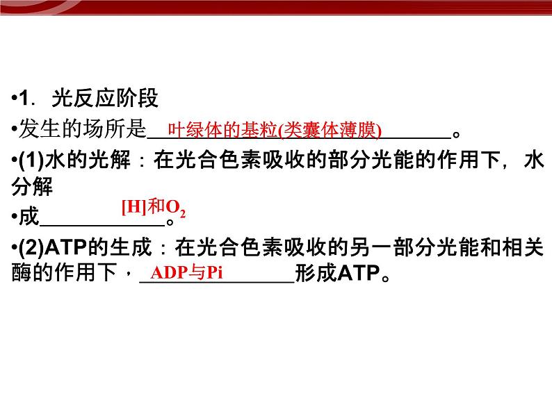 高效课堂同步课件：5-4-2能量之源──光与光合作用（必修1）第3页