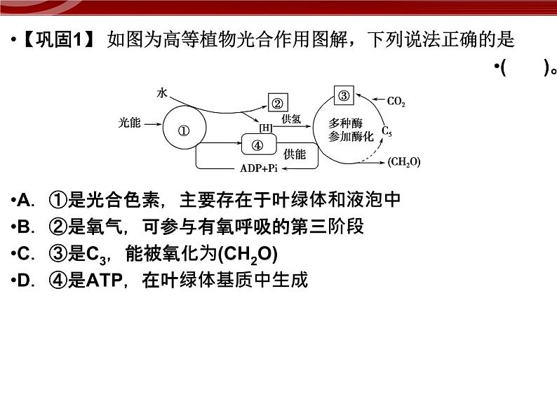 高效课堂同步课件：5-4-2能量之源──光与光合作用（必修1）第8页