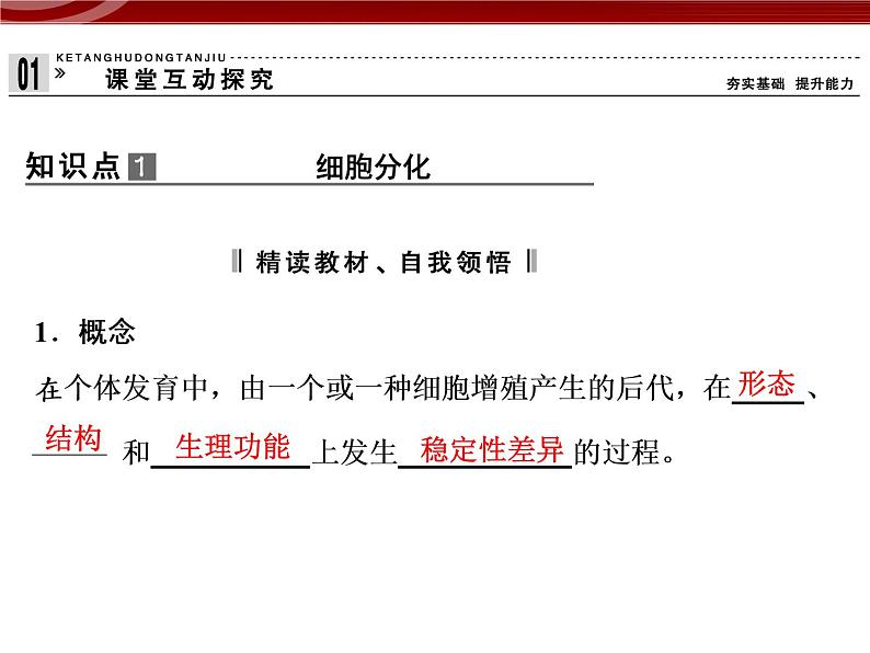 高效课堂同步课件：6-2细胞的分化（必修1）04