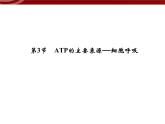 高效课堂同步课件：5-3ATP的主要来源──细胞呼吸（必修1）