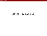 高效课堂同步课件：6-1细胞的增殖（必修1）