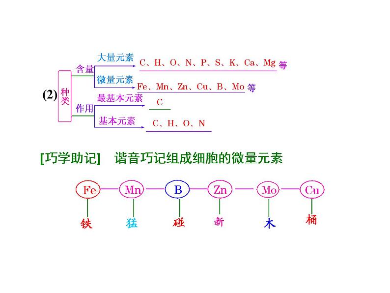 必修一生物：组成细胞的元素及无机化合物 课件02