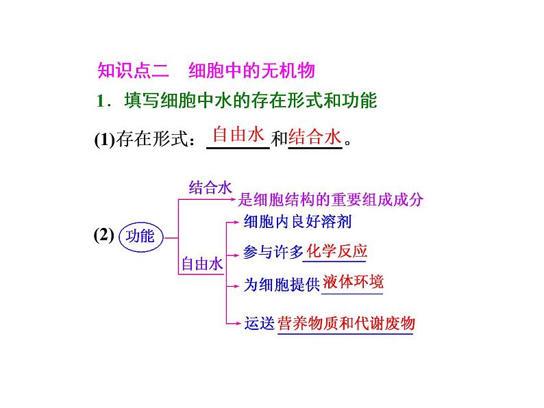 必修一生物：组成细胞的元素及无机化合物 课件04