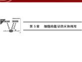 高效課堂同步課件：5-1降低化學反應活化能的酶（必修1）