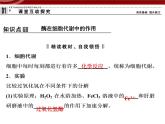 高效课堂同步课件：5-1降低化学反应活化能的酶（必修1）