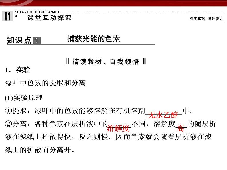 高效课堂同步课件：5-4-1能量之源──光与光合作用（必修1）05