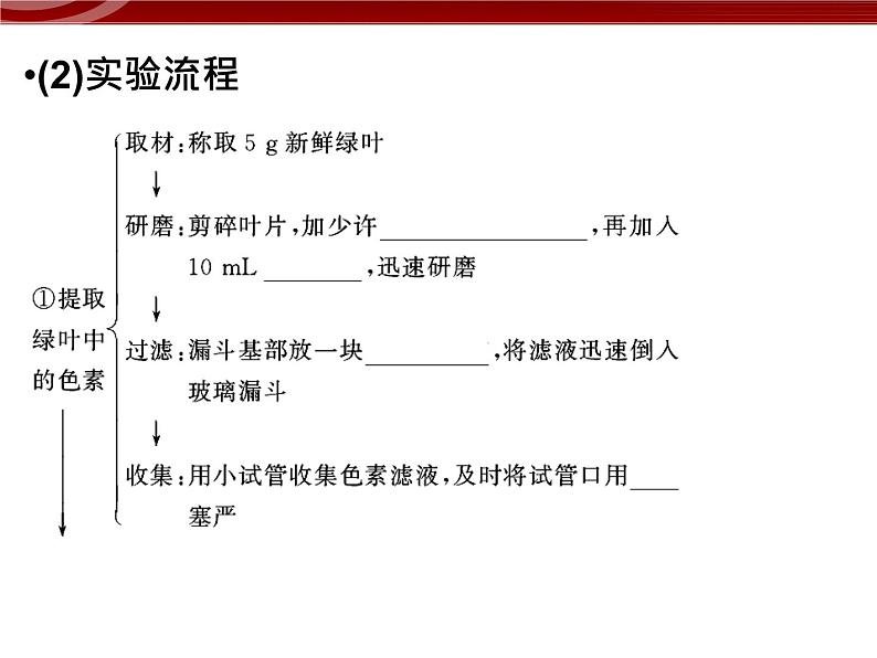 高效课堂同步课件：5-4-1能量之源──光与光合作用（必修1）06