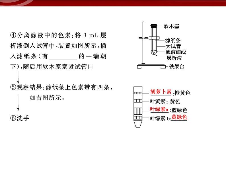 高效课堂同步课件：5-4-1能量之源──光与光合作用（必修1）08