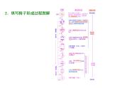 复习课件必修二：减数分裂与受精作用