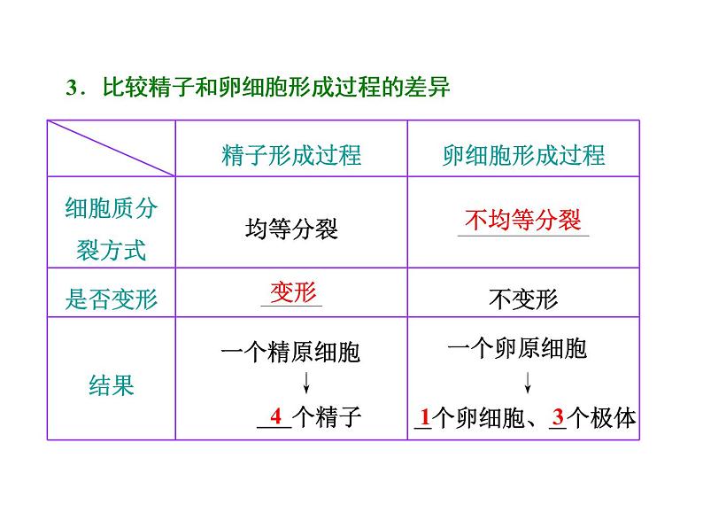 复习课件必修二：减数分裂与受精作用第3页