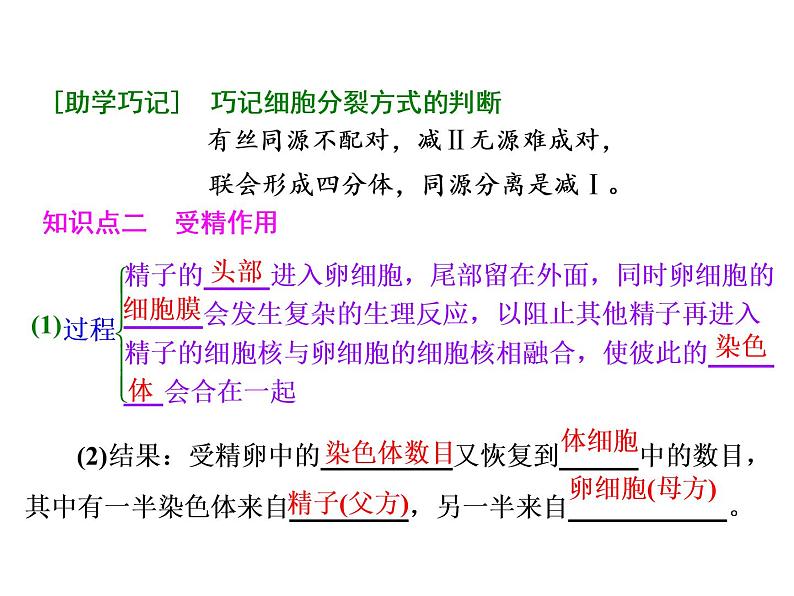 复习课件必修二：减数分裂与受精作用第4页