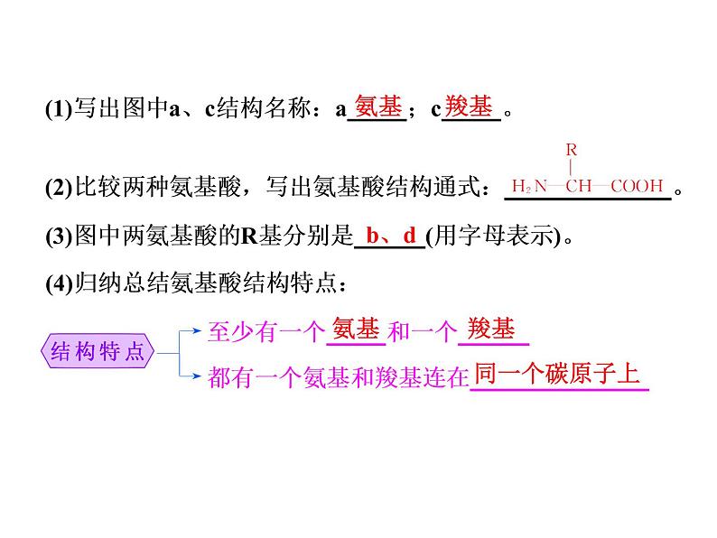 复习课件必修一：生命活动的主要承担者——蛋白质第2页