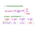 复习课件必修一：生命活动的主要承担者——蛋白质