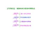 复习课件必修一：细胞的增殖