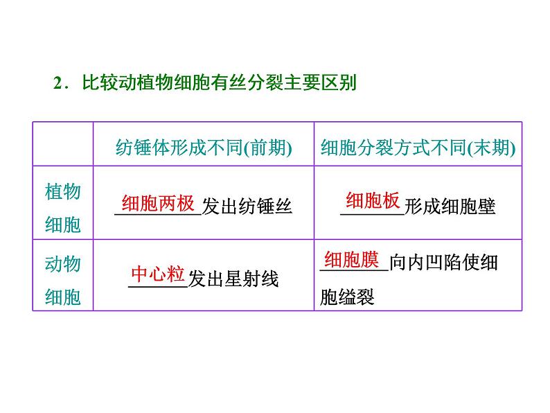 复习课件必修一：细胞的增殖05