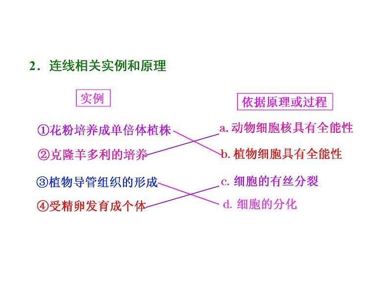 复习课件必修一： 细胞的分化、衰老、凋亡和癌变02