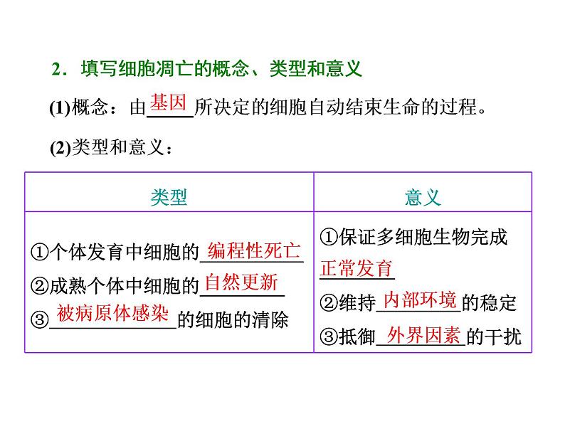 复习课件必修一： 细胞的分化、衰老、凋亡和癌变05