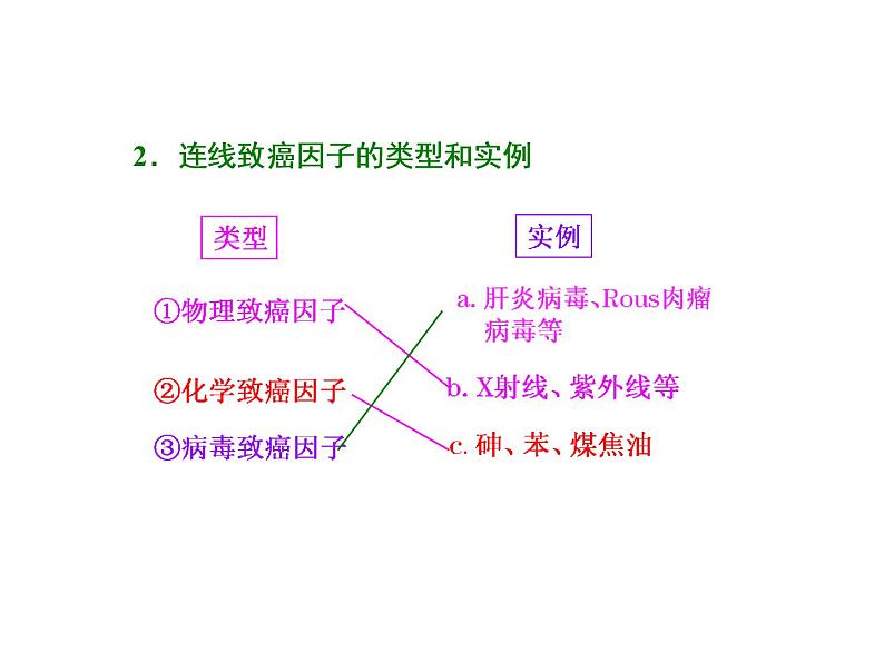 复习课件必修一： 细胞的分化、衰老、凋亡和癌变07