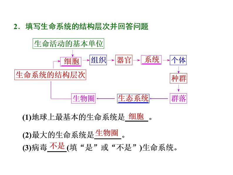 复习课件必修一： 走近细胞02