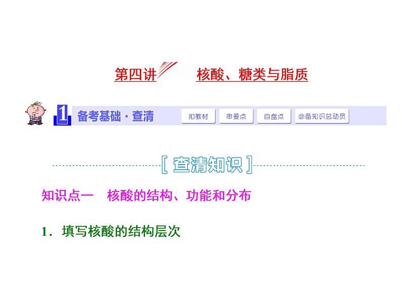 复习课件必修一：  核酸、糖类与脂质01