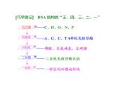 复习课件必修一：  核酸、糖类与脂质