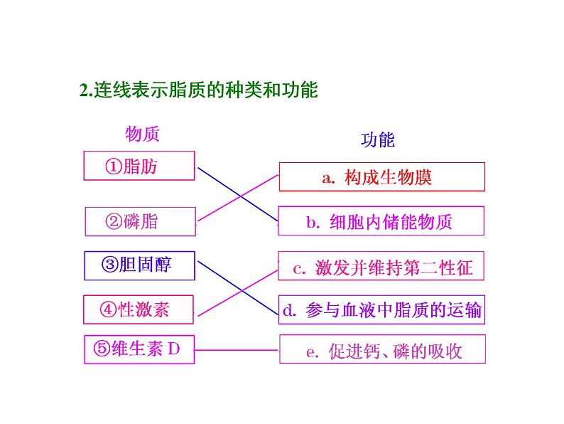 复习课件必修一：  核酸、糖类与脂质06