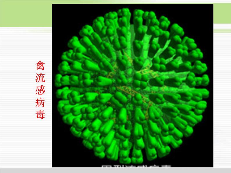 必修1 第1章 第1节从生物圈到细胞 课件02