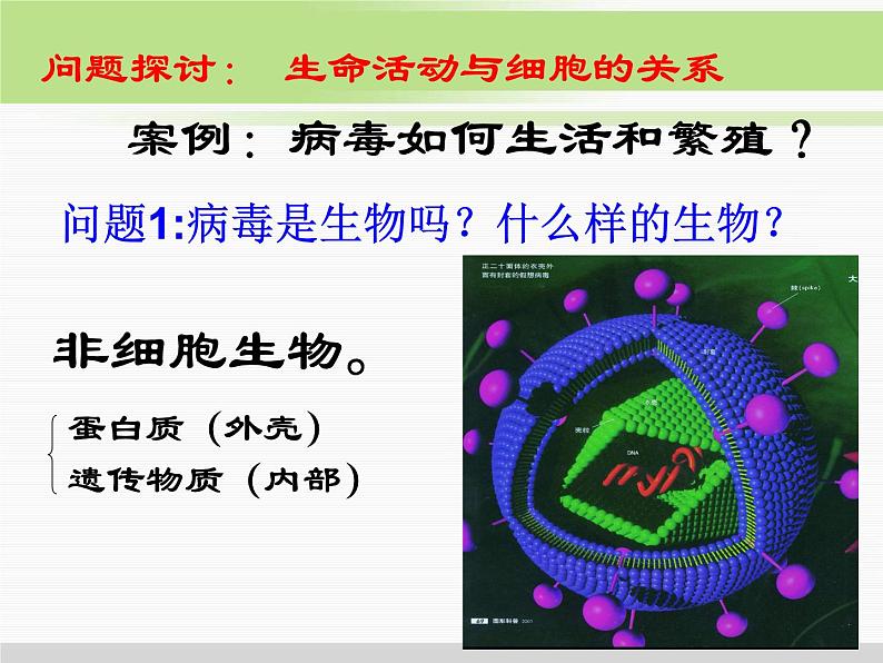 必修1 第1章 第1节从生物圈到细胞 课件06