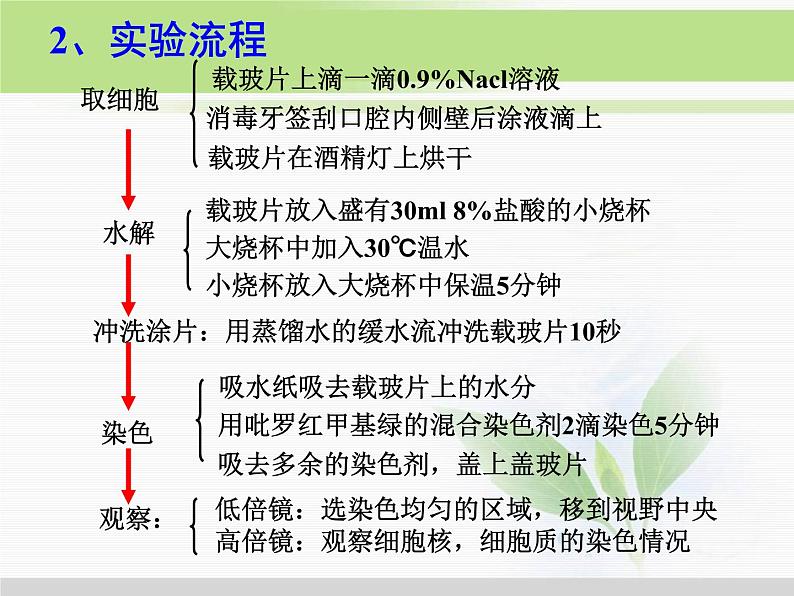 必修1 第2章 第3节遗传信息的携带者——核酸2 课件05